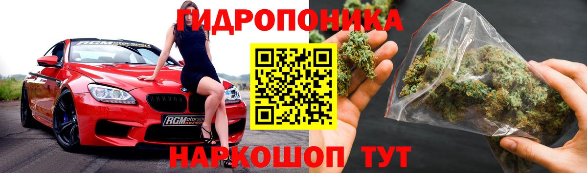 Шишки марихуана White Widow Октябрьский